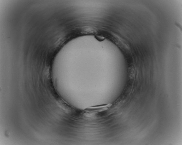 X0000097480560200803141937