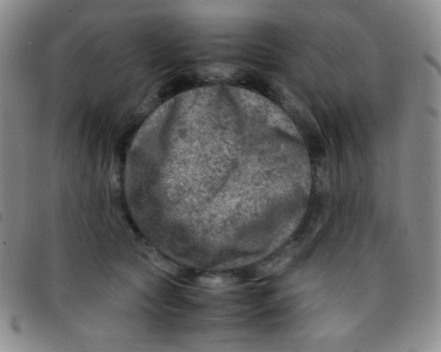 X0000097480561200803141937