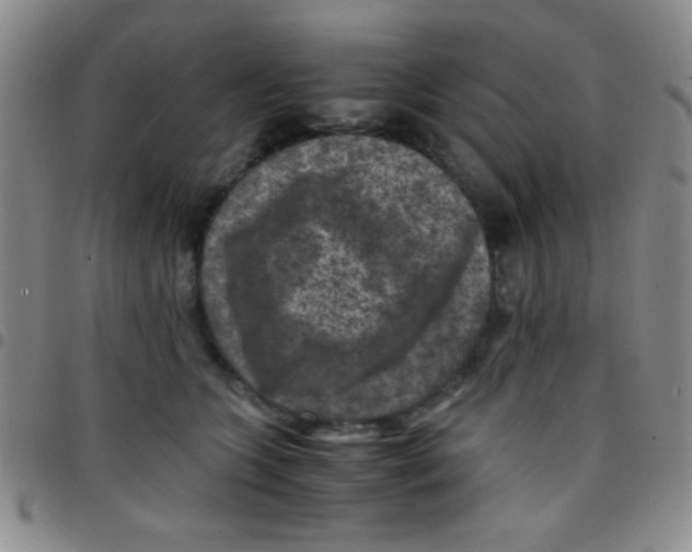 X0000097480563200803141937