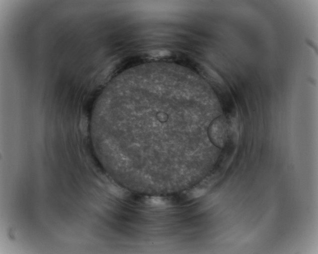 X0000097480565200803141937