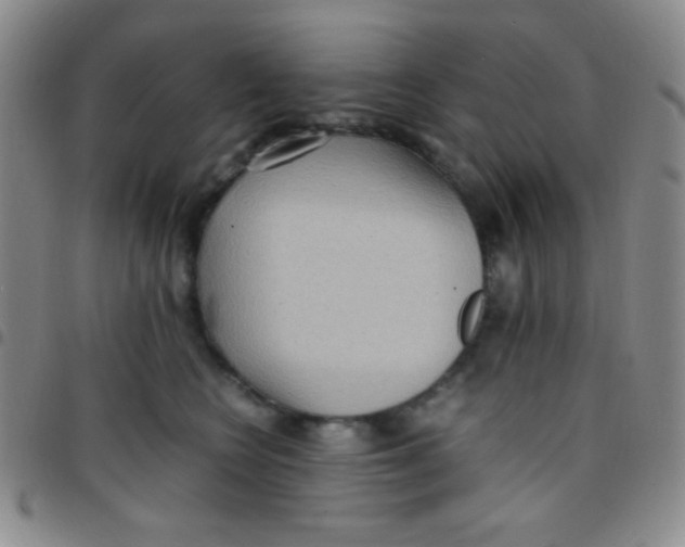 X0000097480566200803141937