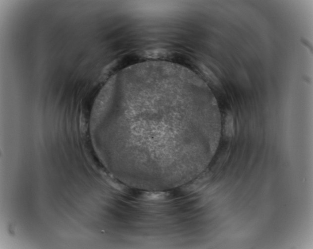 X0000097480569200803141937