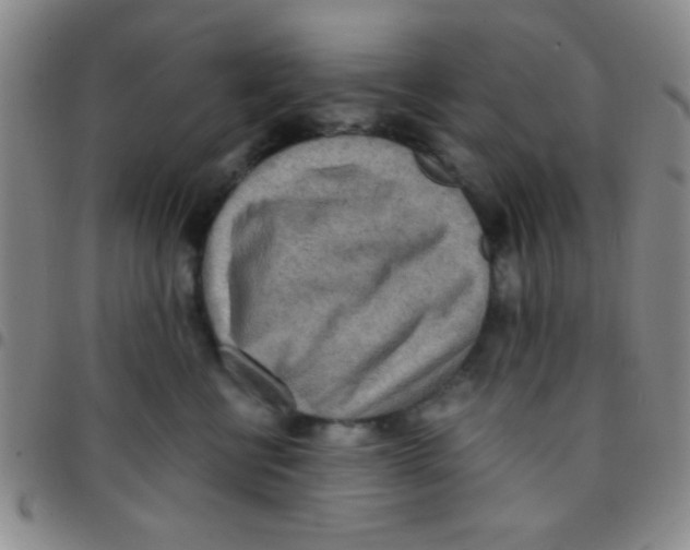 X0000097480570200803141937