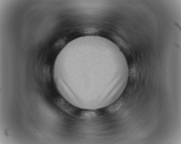 X0000097480572200803141937