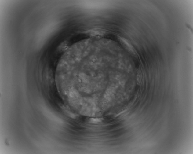 X0000097480573200803141937