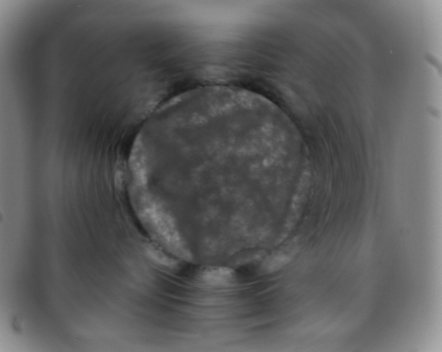 X0000097480576200803141937