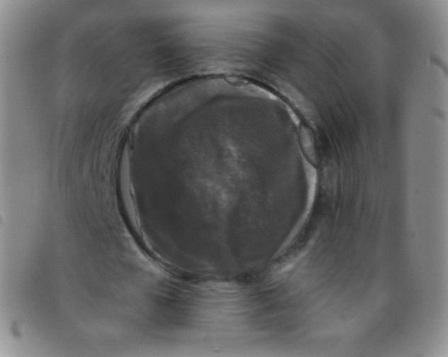 X0000097480577200803141937