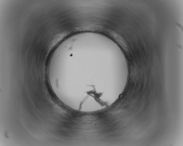 X0000097480578200803141937