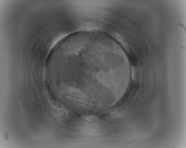 X0000097480579200803141937