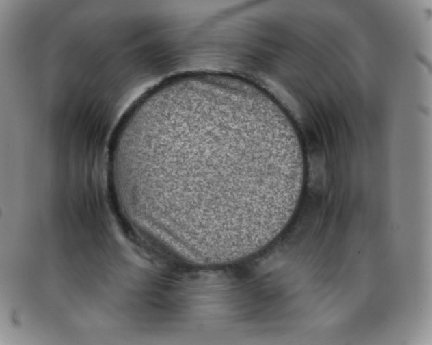 X0000097480580200803141937