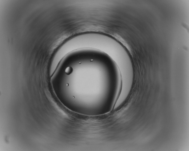 X0000097480581200803141937