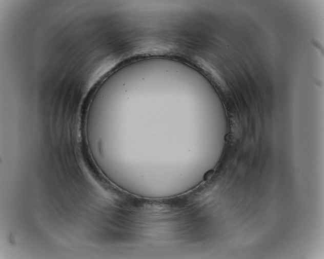 X0000097480582200803141937