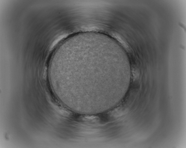 X0000097480583200803141937