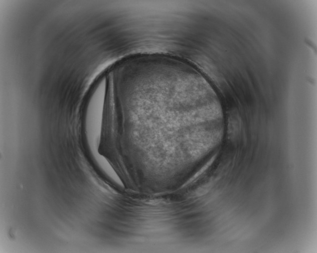 X0000097480584200803141937