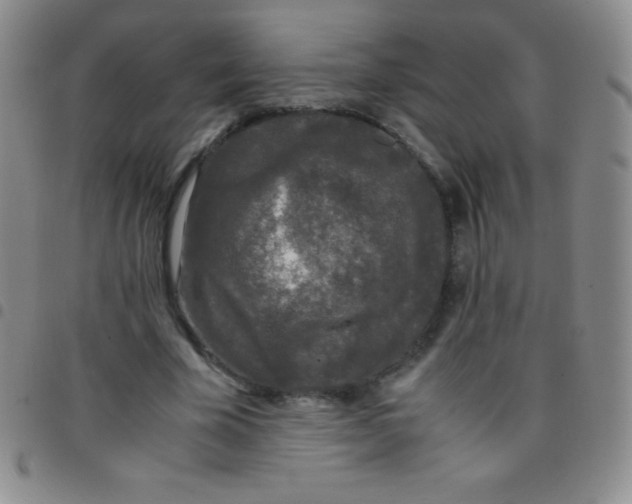 X0000097480585200803141937