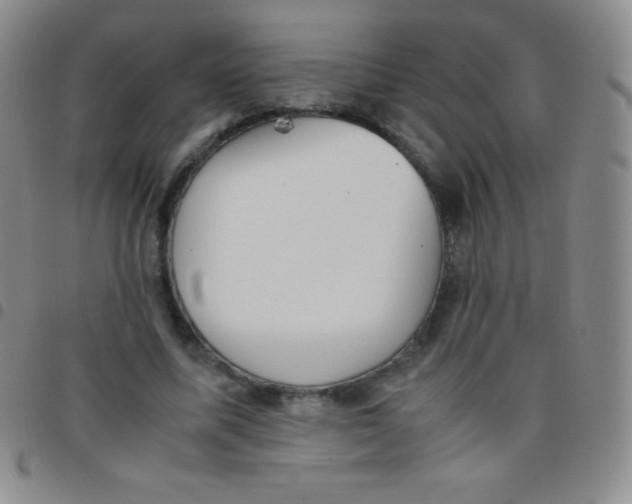 X0000097480587200803141937