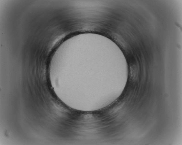 X0000097480588200803141936