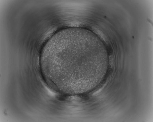 X0000097480589200803141936