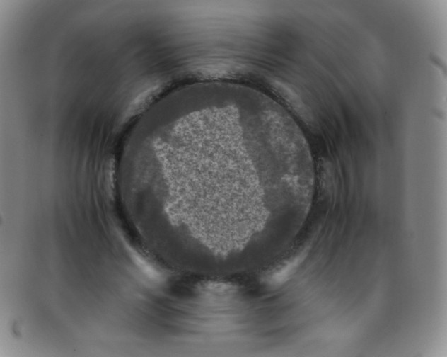 X0000097480590200803141936