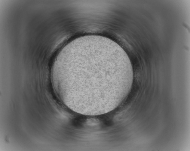 X0000097480591200803141936