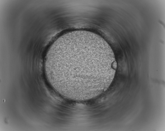 X0000097480592200803141936