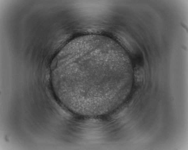 X0000097480593200803141936