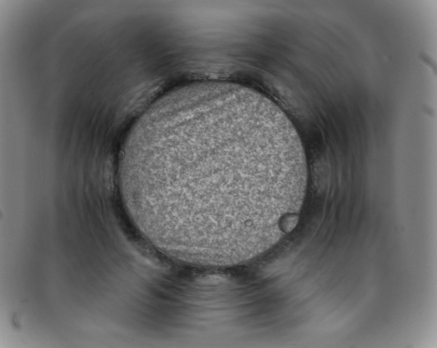 X0000097480594200803141936