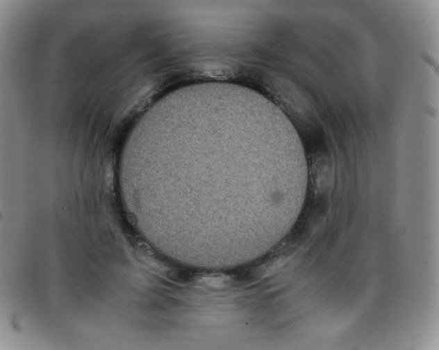 X0000097480595200803141936