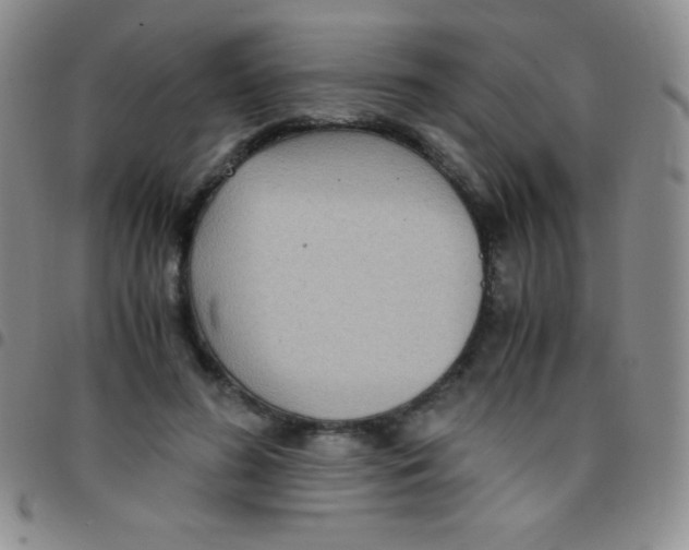 X0000097480596200803141936