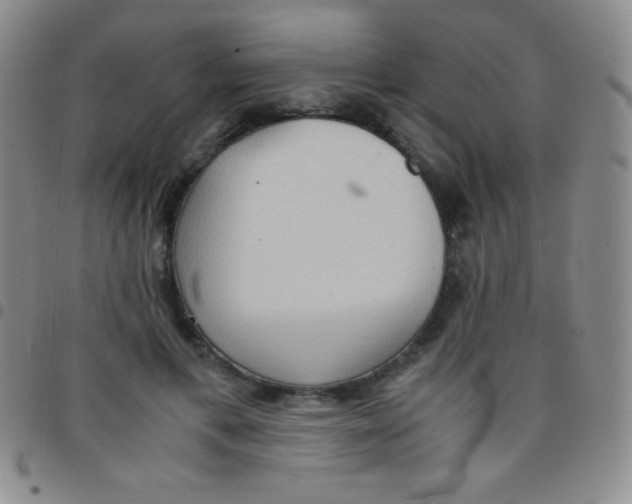 X0000097480597200803141936