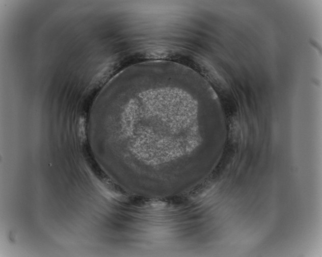 X0000097480598200803141936