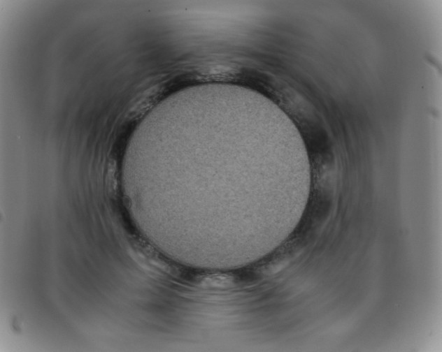 X0000097480599200803141936