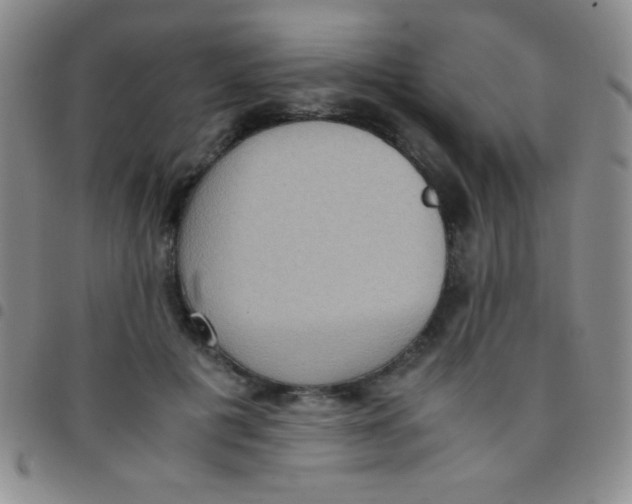 X0000097480601200803141936