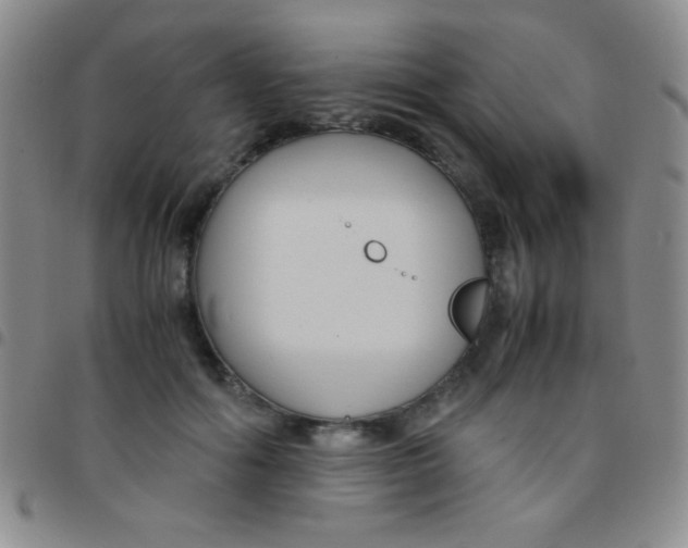 X0000097480602200803141936