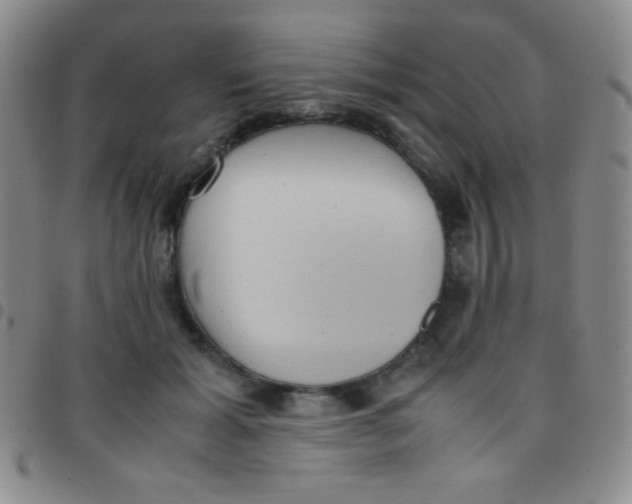 X0000097480605200803141936