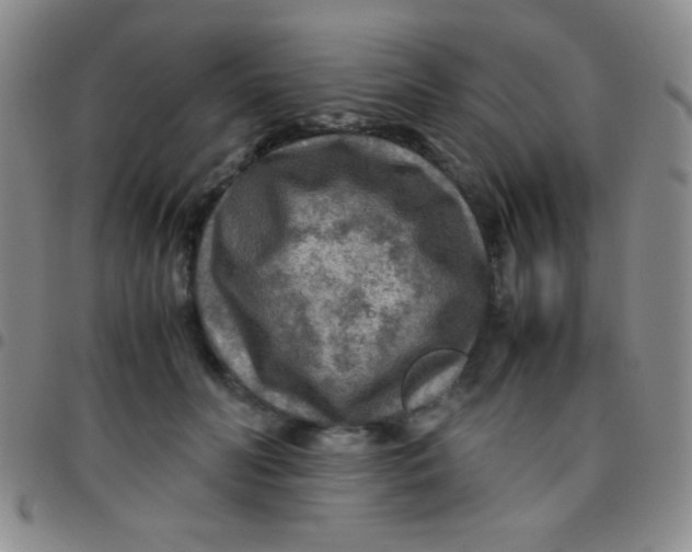 X0000097480606200803141936