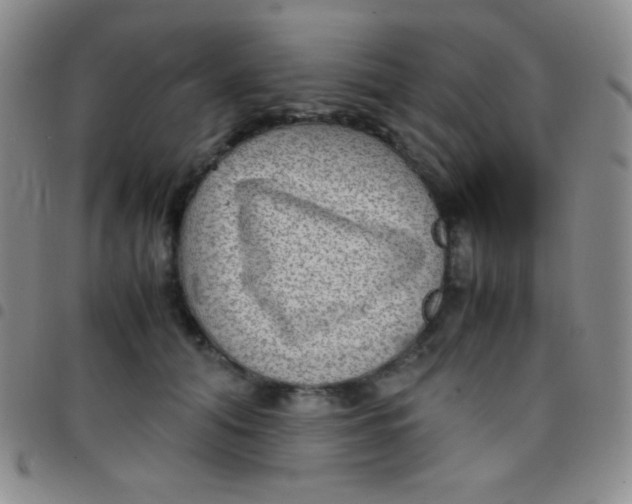 X0000097480608200803141936