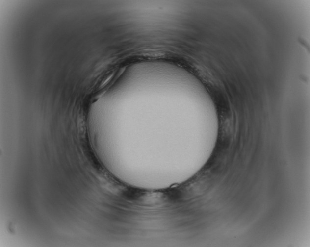 X0000097480609200803141936