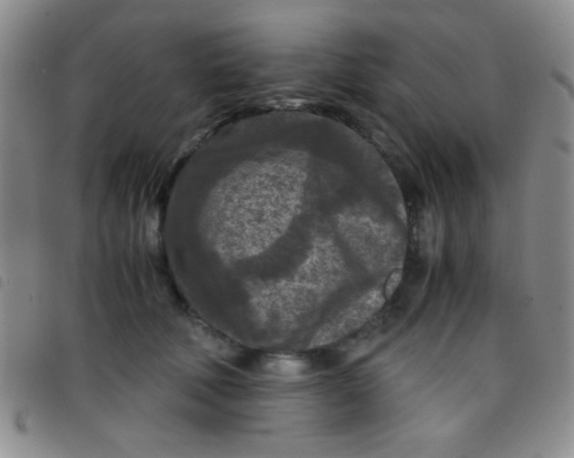 X0000097480610200803141936