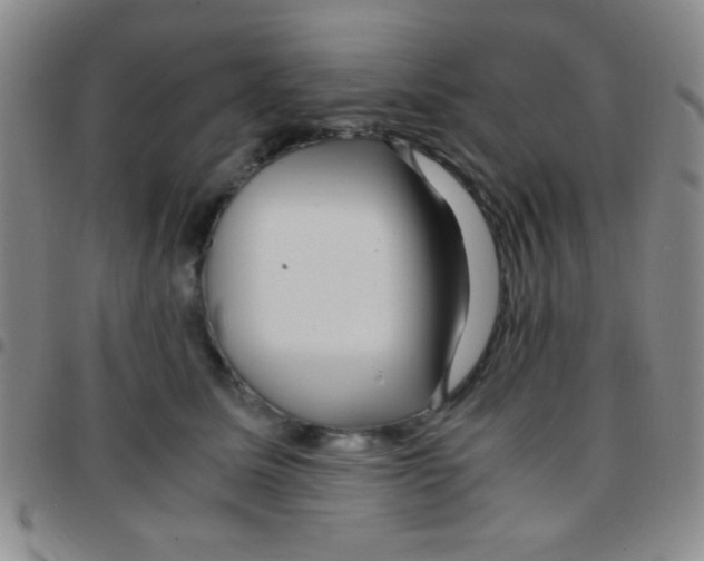 X0000097480611200803141936