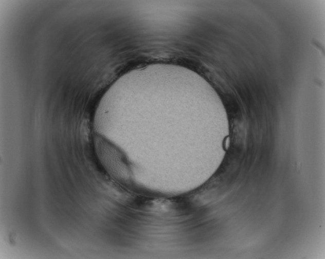 X0000097480612200803141936