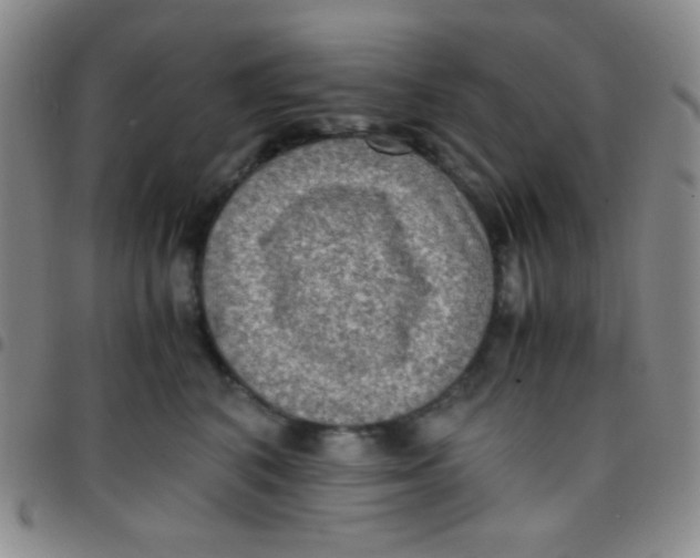 X0000097480616200803141936