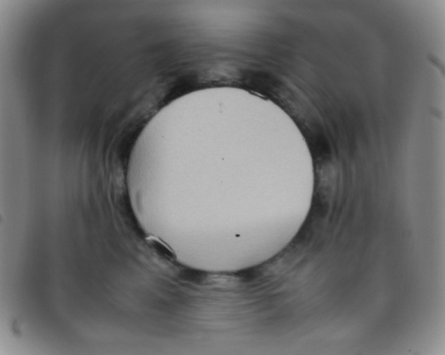 X0000097480617200803141936