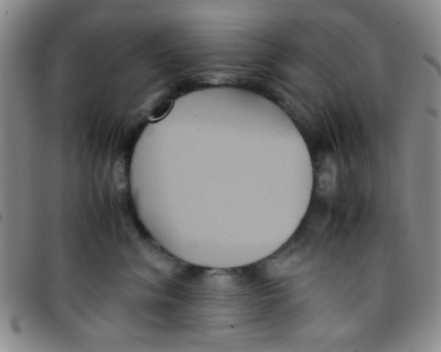 X0000097480620200803141936