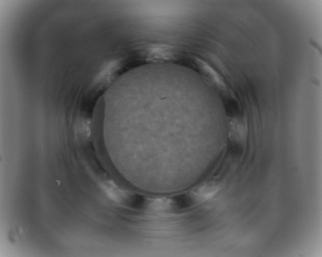 X0000097480621200803141936