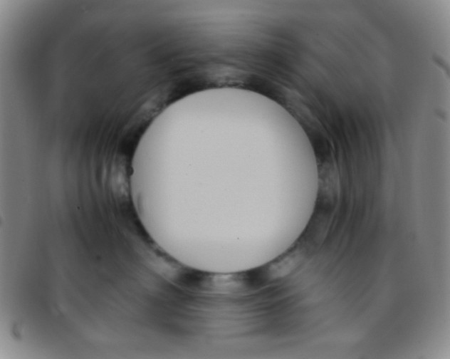 X0000097480622200803141936