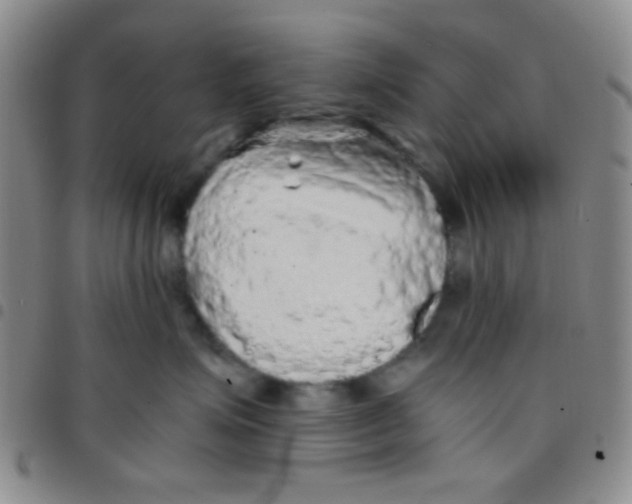 X0000097480623200803141936