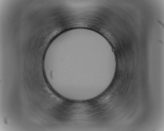 X0000097480625200803141935