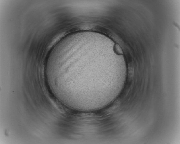 X0000097480626200803141935