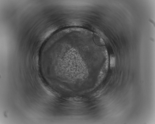 X0000097480627200803141935